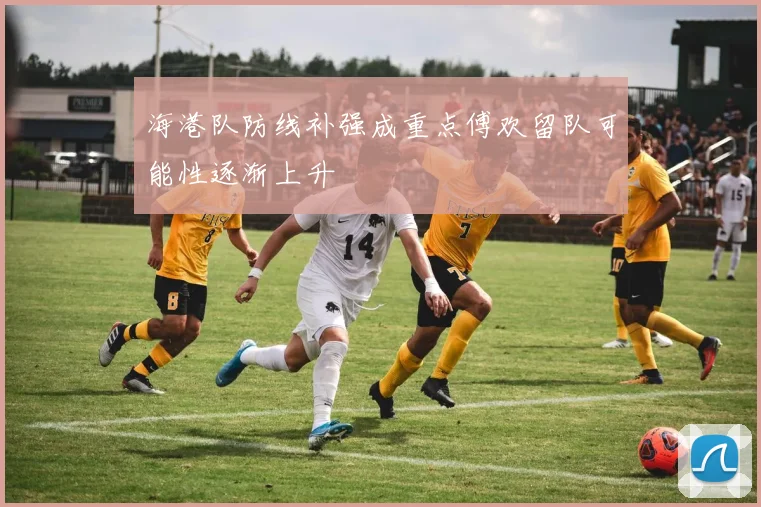 海港队防线补强成重点傅欢留队可能性逐渐上升