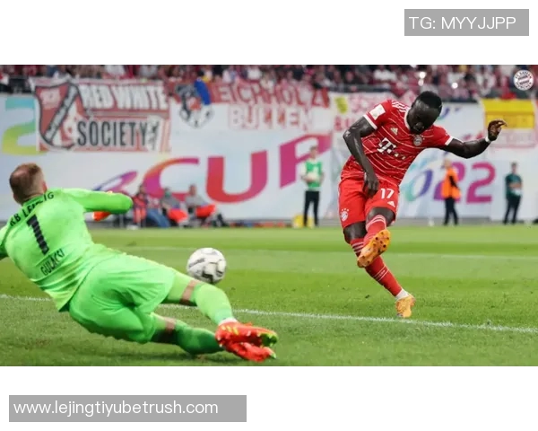 尚帕尼表现出色全场稳定贡献20分4板5助助力球队胜利 尚帕尼表现出色全场稳定贡献20分4板5助助力球队胜利